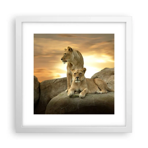 Affiche dans un cadre blanc - Poster - Majesté royale - 30x30 cm