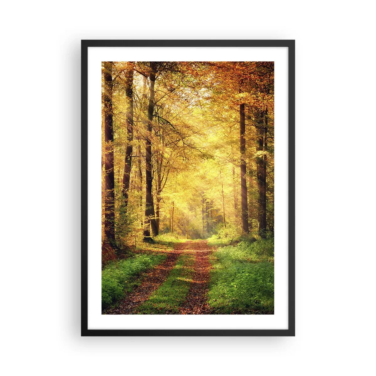 Affiche dans un cadre noir - Poster - Un chemin forestier à la lumière du soleil doré de l'automne - 50x70cm - Silence d'or en forêt - Décoration murale moderne pour le salon et la chambre ARTTOR