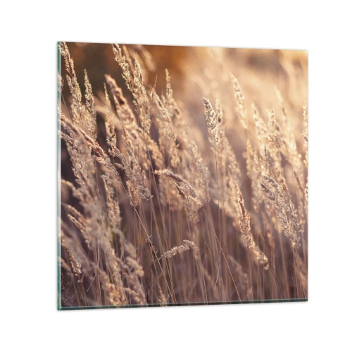 Impression sur verre - Image sur verre - Prêt à accueillir l'automne - 70x70 cm