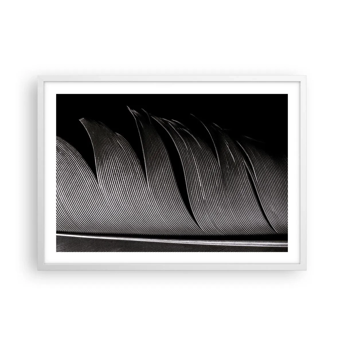 Affiche dans un cadre blanc - Poster - La plume – un design magnifique - 70x50 cm