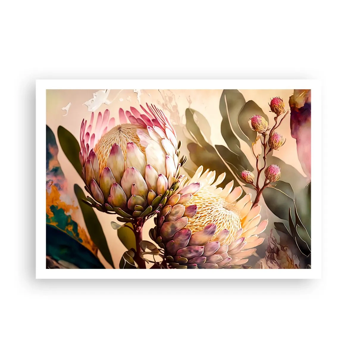 Affiche - Poster - Fleurs de protéa colorées sur un fond délicat - 100x70cm - Tendrement embrassé - Décoration murale moderne pour le salon et la chambre ARTTOR