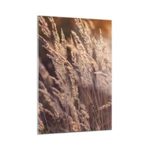 Impression sur verre - Image sur verre - Herbes dorées illuminées par les rayons du soleil couchant - 50x70cm - Prêt à accueillir l'automne - Décoration murale moderne pour le salon et la chambre ARTTOR