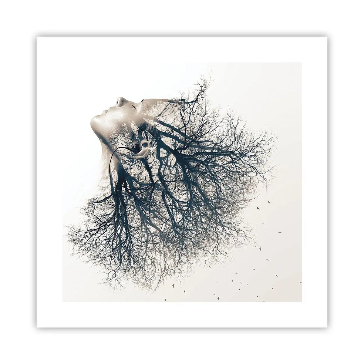 Affiche - Poster - Écouter le murmure des arbres - 40x40 cm