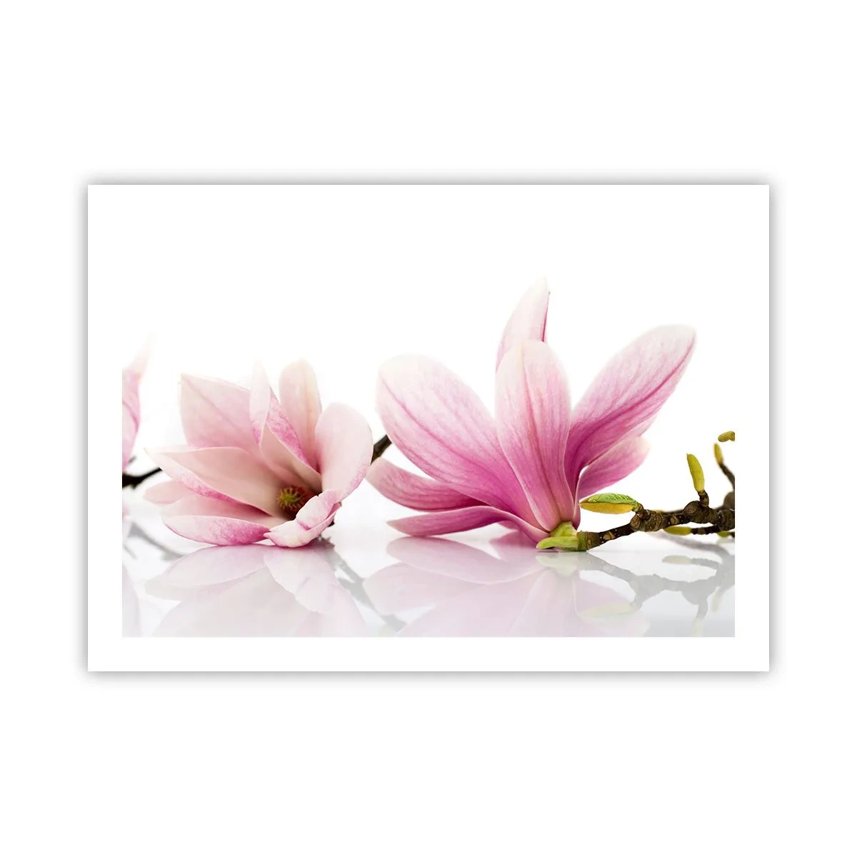 Affiche - Poster - Délicat comme une brise de printemps - 70x50 cm
