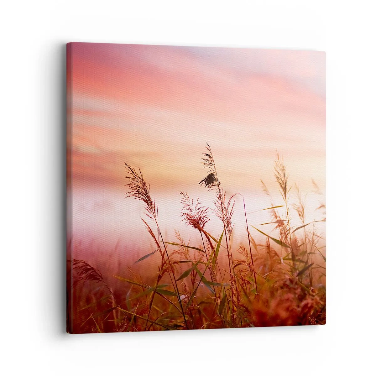 Impression sur toile - Image sur toile - Cerfs-volants, pissenlits, vent - 30x30 cm