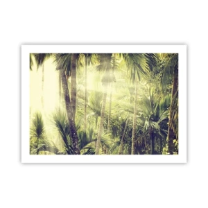 Affiche - Poster - Nature enflammée - 70x50 cm