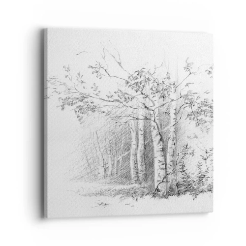 Impression sur toile - Image sur toile - Lumière d'une forêt de bouleaux - 40x40 cm