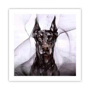 Affiche - Poster - Né noble - 50x50 cm