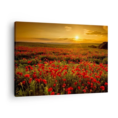 Impression sur toile - Image sur toile - Un champ de coquelicots rouges dans la lueur du soleil couchant - 70x50cm - Parmi les vagues des prairies bruissantes, parmi les fleurs du déluge - Décoration murale moderne pour le salon et la chambre ARTTOR