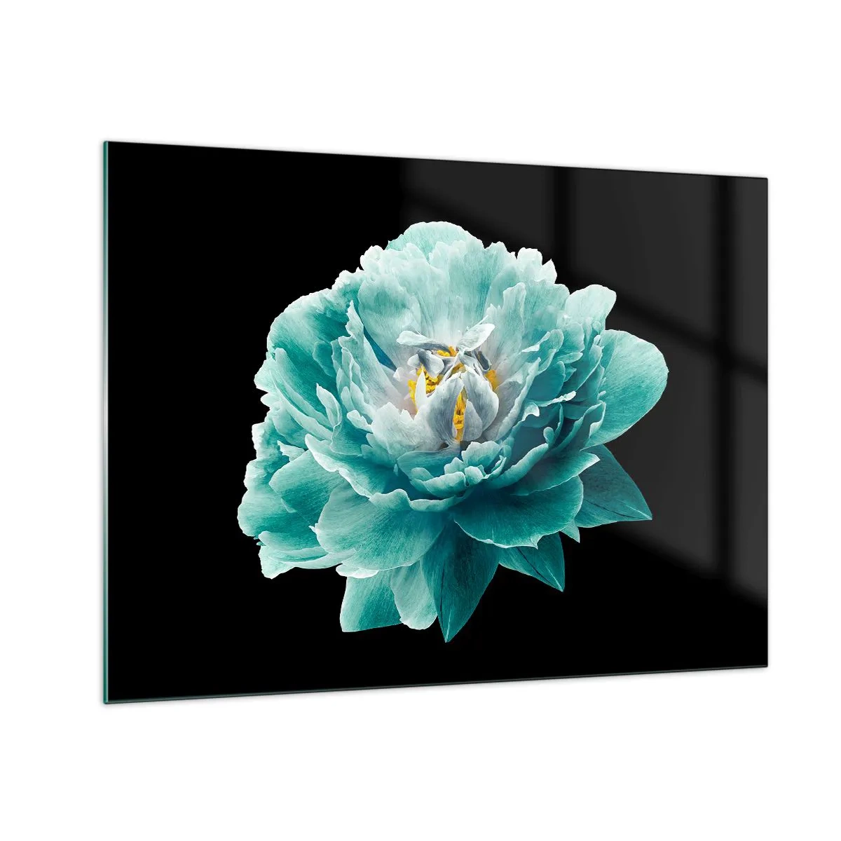 Impression sur verre - Image sur verre - Une fleur turquoise avec un centre jaune sur fond noir dans un style glamour. - 70x50cm - Pétales bleus et dorés - Décoration murale moderne pour le salon et la chambre ARTTOR