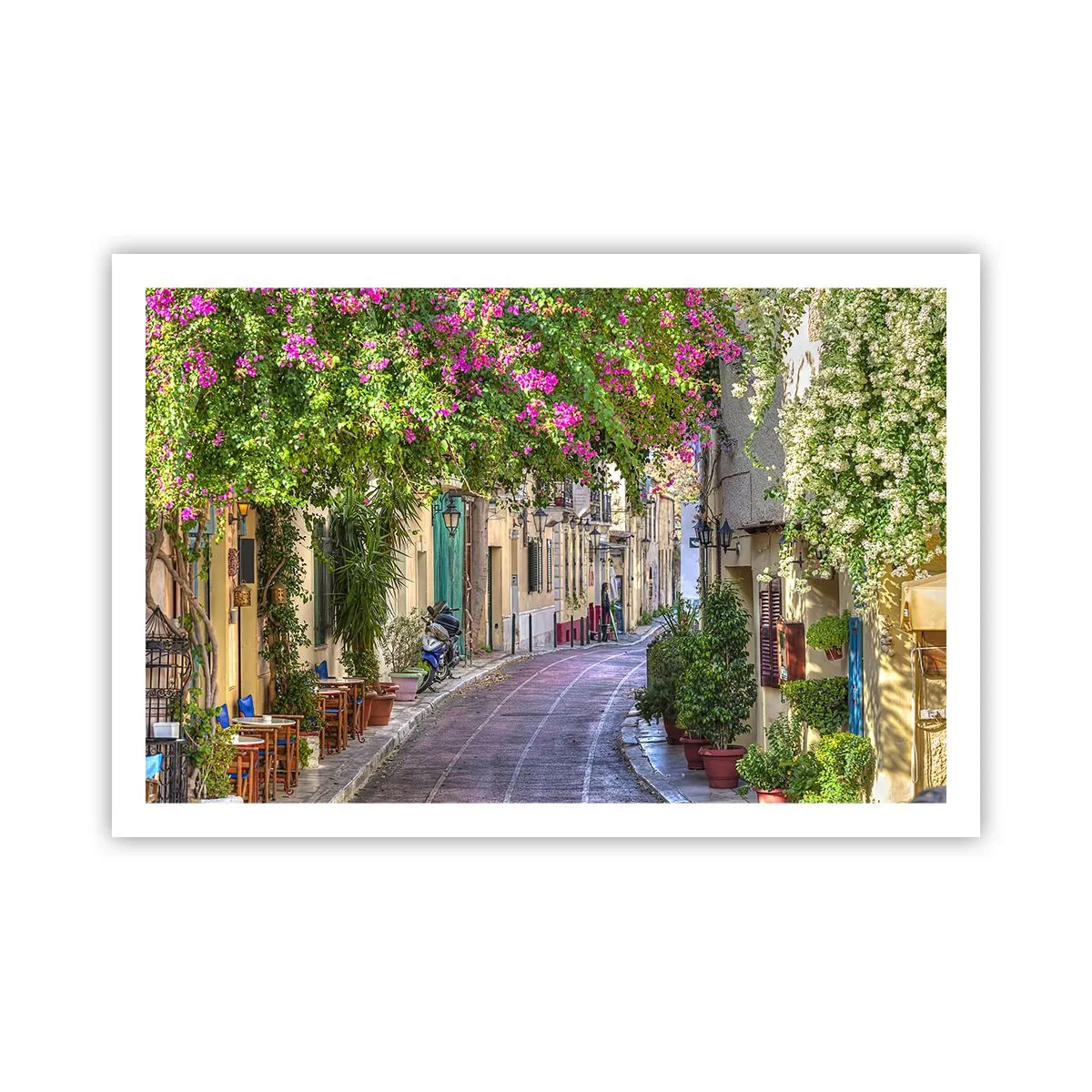 Affiche - Poster - Allée fleurie - 91x61 cm