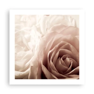 Affiche - Poster - Au coeur d'ue la rose - 50x50 cm