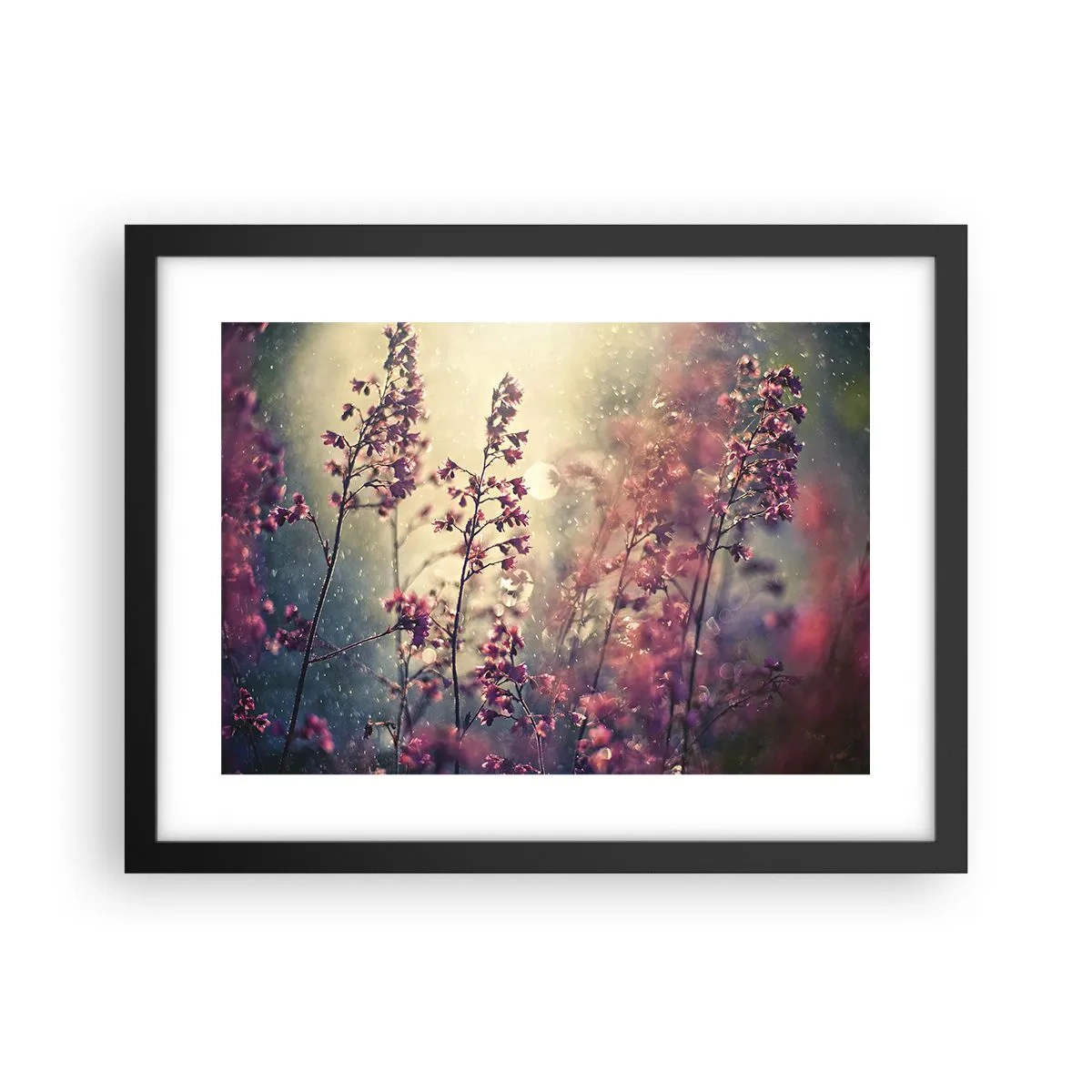 Affiche dans un cadre noir - Poster - Jardin secret - 40x30 cm