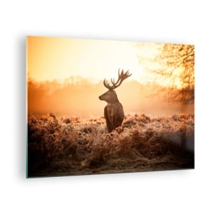 Impression sur verre - Image sur verre - Cerf sur fond de lever de soleil dans un paysage naturel - 70x50cm - Seigneur du domaine - Décoration murale moderne pour le salon et la chambre ARTTOR