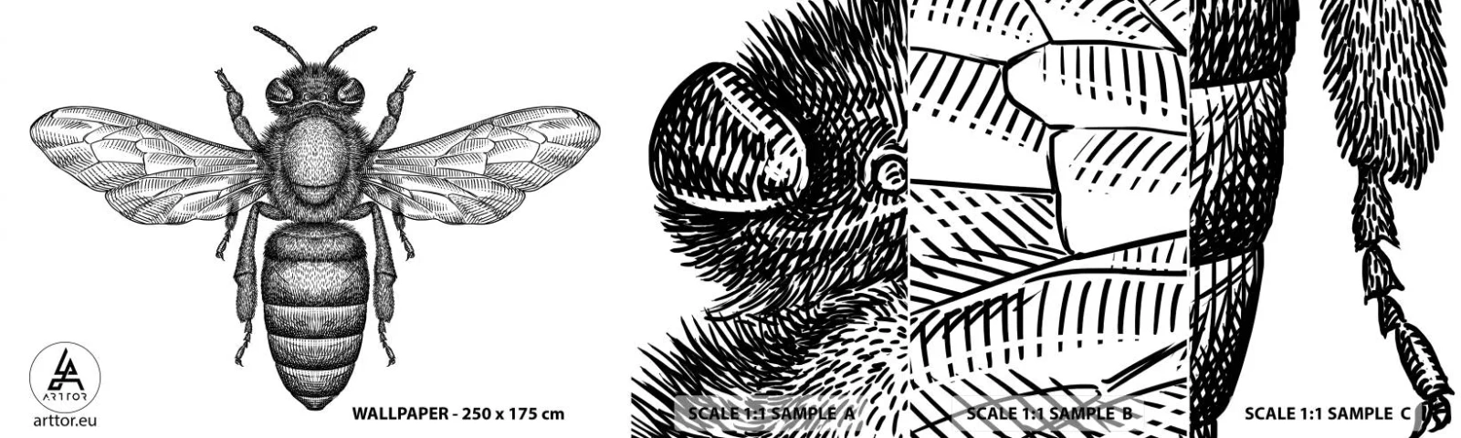 Échantillon de Papier Peint Autocollant Deluxe Sticker - Portrait d'insecte - Abeille, Insecte, Minimaliste - 100x30 cm