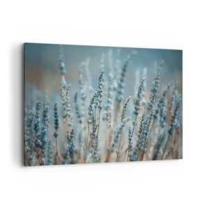 Impression sur toile - Image sur toile - Lavande dans les champs dans des tons pastel subtils - 100x70cm - Tige odorante - Décoration murale moderne pour le salon et la chambre ARTTOR