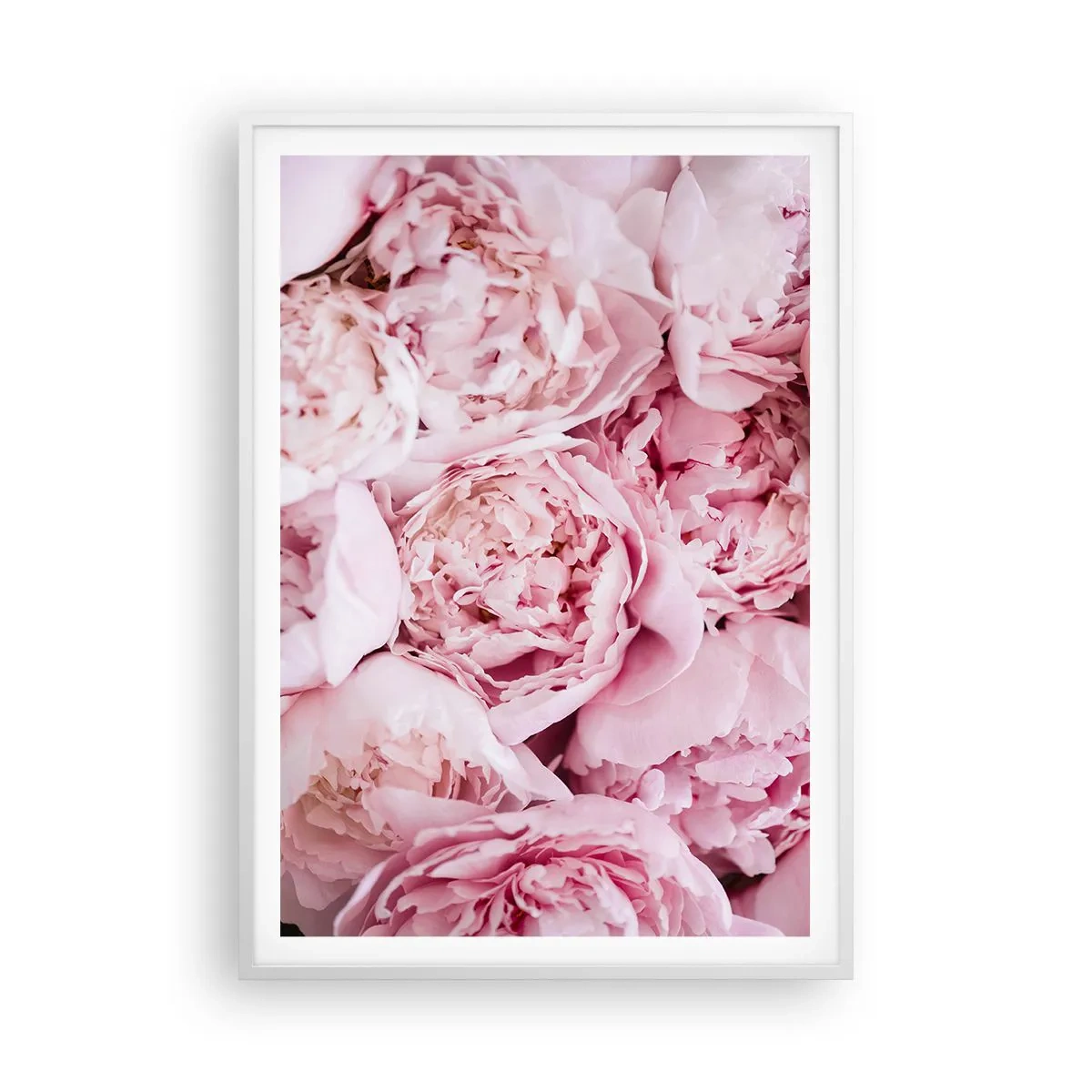 Affiche dans un cadre blanc - Poster - Caliné et parfumé - 70x100 cm