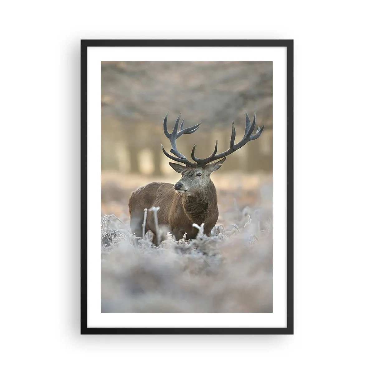 Affiche dans un cadre noir - Poster - Un cerf majestueux dans un décor de forêt hivernale - 50x70cm - Une matinée animée - Décoration murale moderne pour le salon et la chambre ARTTOR