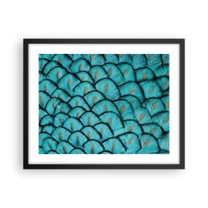 Affiche dans un cadre noir - Poster - Le grand gala des plumes - 50x40 cm