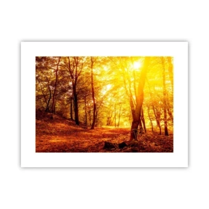 Affiche - Poster - Vers la clairière dorée - 40x30 cm