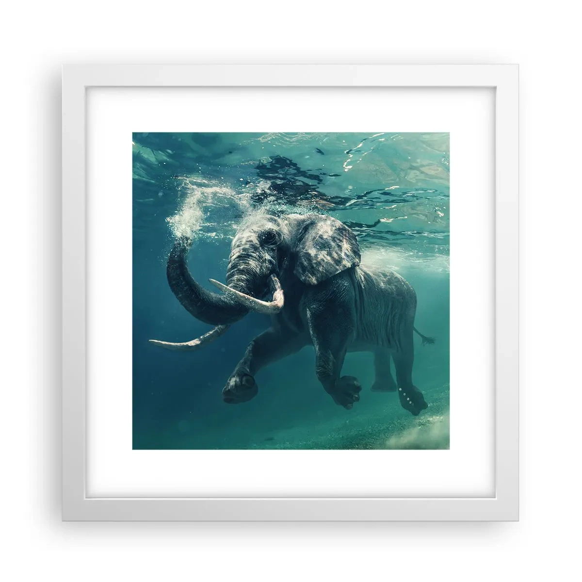Affiche dans un cadre blanc - Poster - Tout le monde aime nager - 30x30 cm