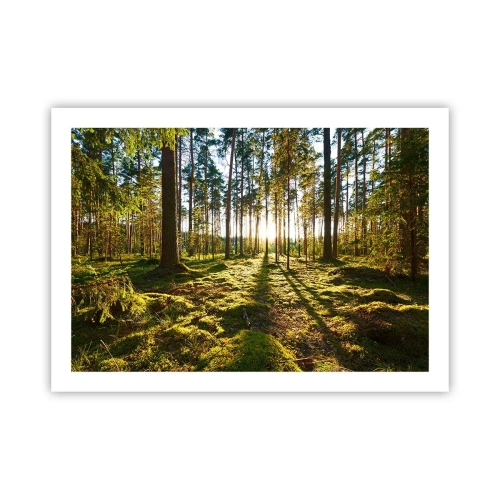 Affiche - Poster - … Derrière les sept forêts - 70x50 cm
