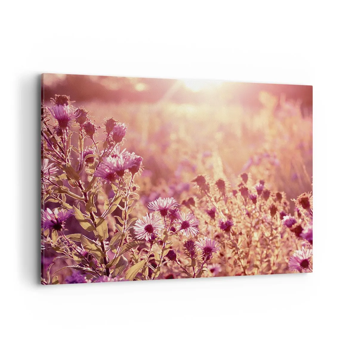 Impression sur toile - Image sur toile - Prairie à la lumière du soleil couchant - 100x70cm - Avant que l'été ne parte - Décoration murale moderne pour le salon et la chambre ARTTOR