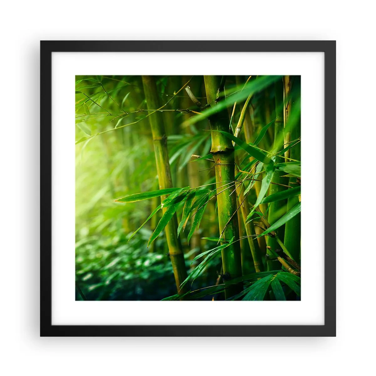 Affiche dans un cadre noir - Poster - Apprenez à connaître le vert lui-même - 40x40 cm