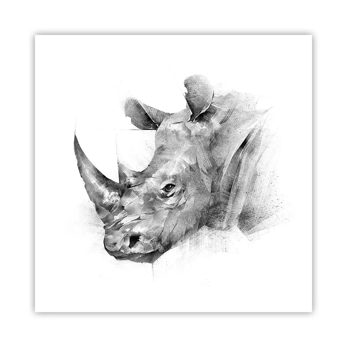 Affiche - Poster - Potrait africain - 60x60 cm