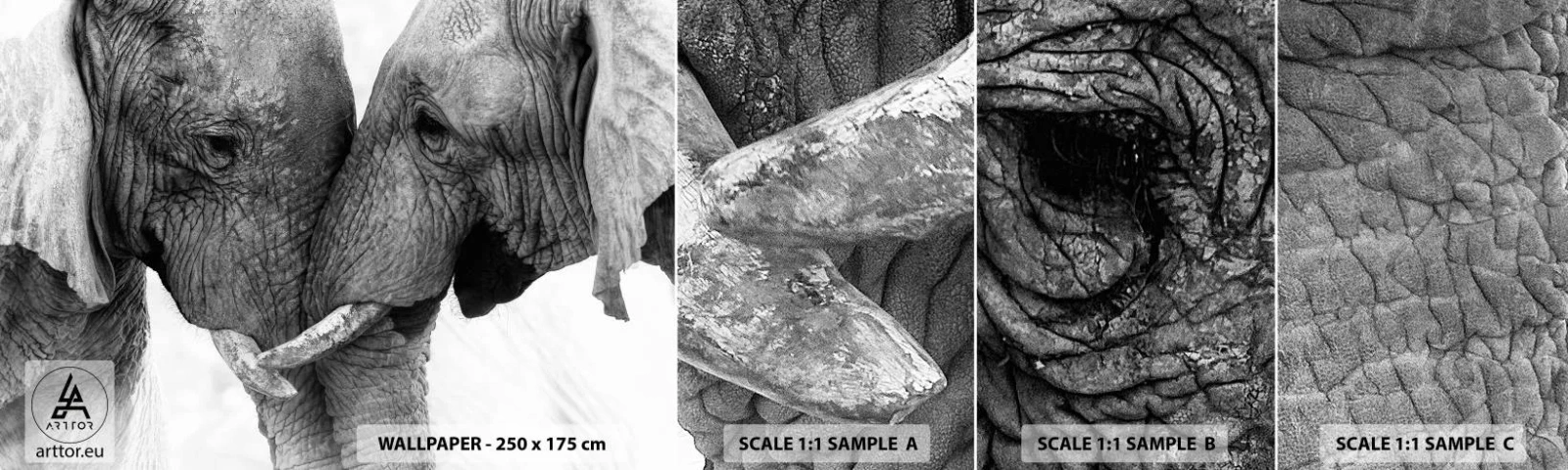 Échantillon De Papier Peint Standard Eco - Confession sincère - Éléphant, Animaux, Afrique - 100x30 cm