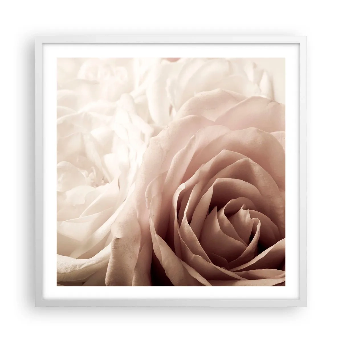 Affiche dans un cadre blanc - Poster - Au coeur d'ue la rose - 60x60 cm