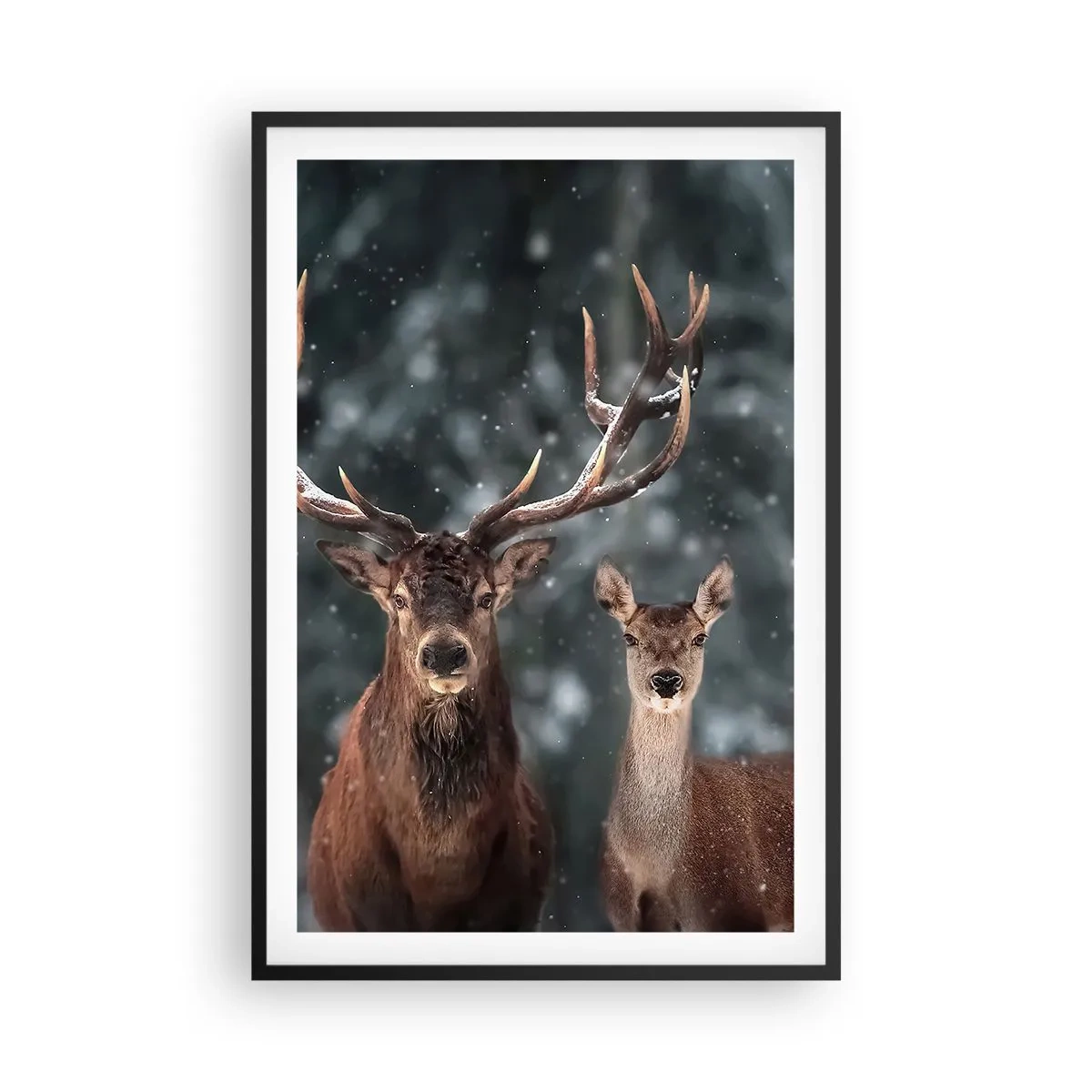 Affiche dans un cadre noir - Poster - Le roi de la forêt avec sa femme - 61x91 cm