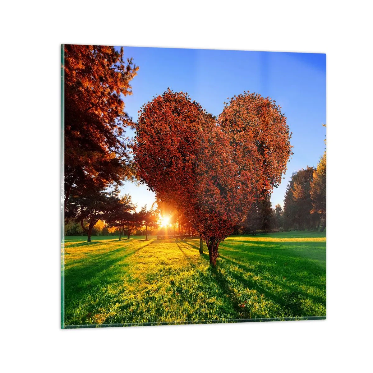 Impression sur verre - Image sur verre - Et comment ne pas aimer tomber - 30x30 cm