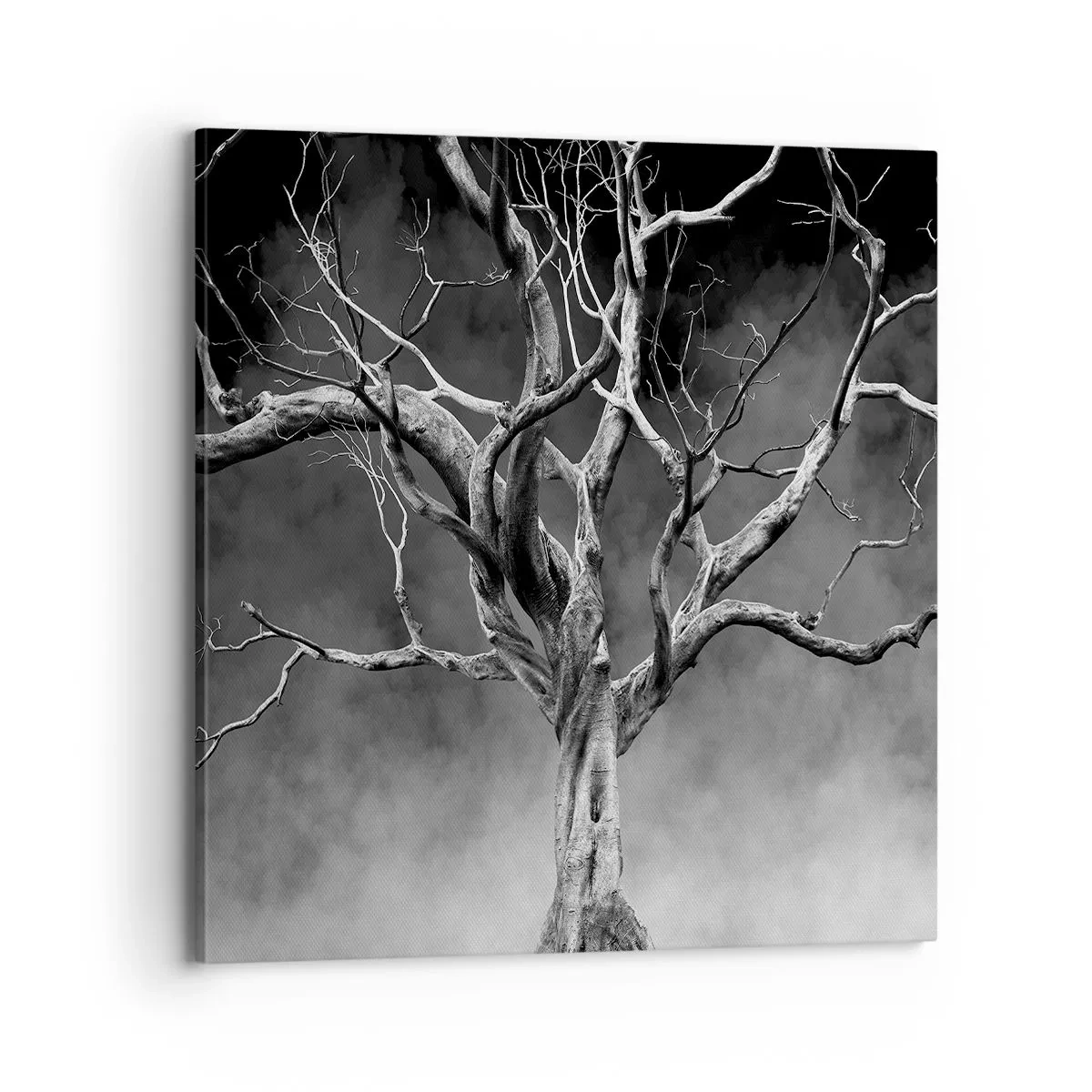 Impression sur toile - Image sur toile - Primordial et sacré - 70x70 cm