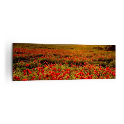Impression sur toile - Image sur toile - Un champ de coquelicots rouges dans la lueur du soleil couchant - 160x50cm - Parmi les vagues des prairies bruissantes, parmi les fleurs du déluge - Décoration murale moderne pour le salon et la chambre ARTTOR