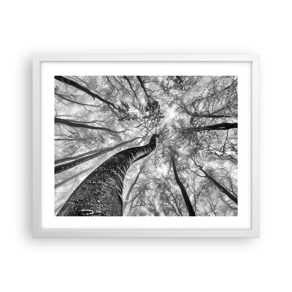 Affiche dans un cadre blanc - Poster - Course vers la lumière - 50x40 cm