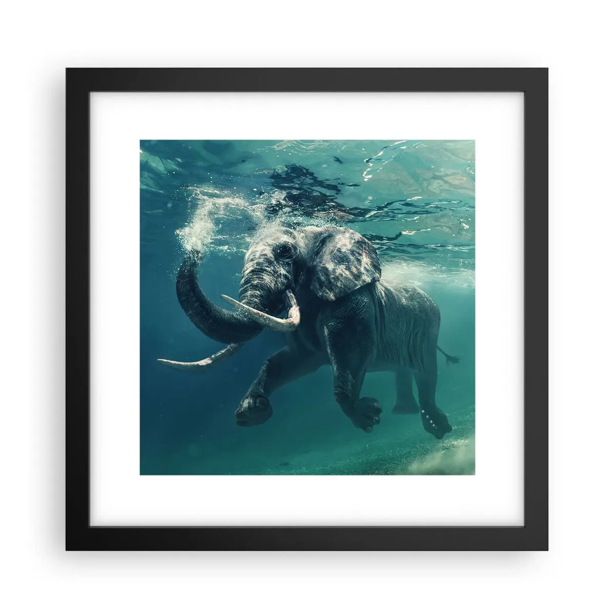 Affiche dans un cadre noir - Poster - Tout le monde aime nager - 30x30 cm