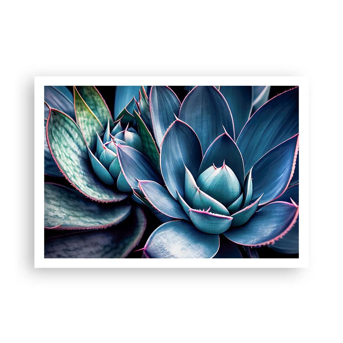 Affiche - Poster - Agave dans des tons de bleu et de vert avec des accents roses - 100x70cm - Force vital - Décoration murale moderne pour le salon et la chambre ARTTOR