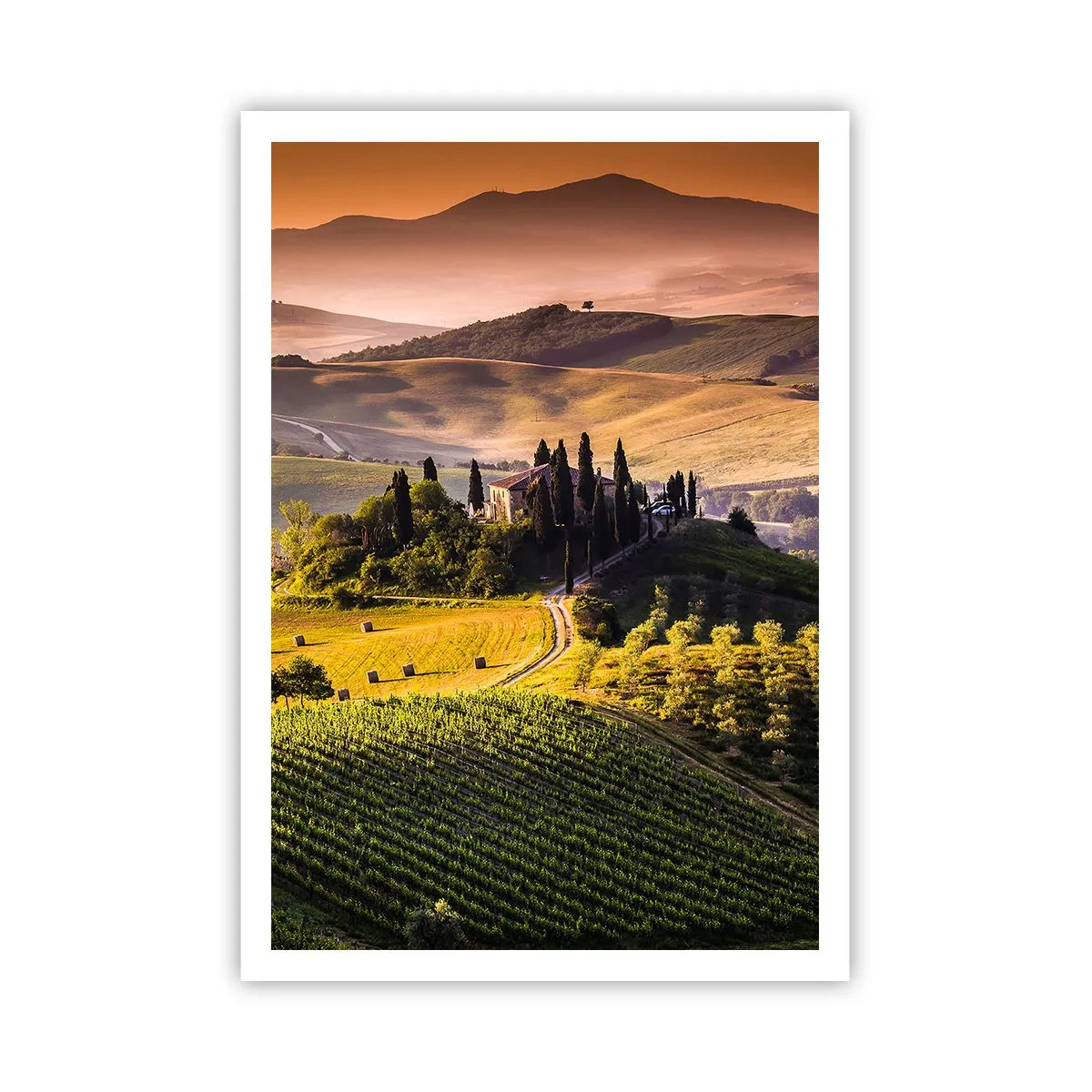 Affiche - Poster - Arcadie - le paysage toscan - 70x100 cm
