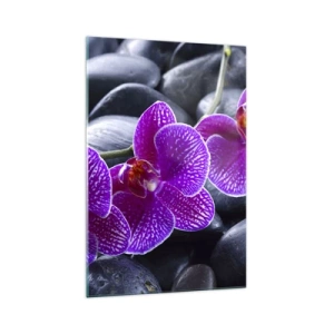 Impression sur verre - Image sur verre - Orchidées violettes sur fond de pierres noires - 70x100cm - Les pierres brillaient de joie - Décoration murale moderne pour le salon et la chambre ARTTOR