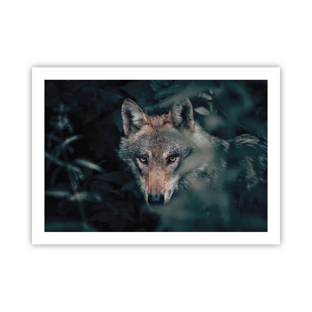 Affiche - Poster - Chasseur - 70x50 cm