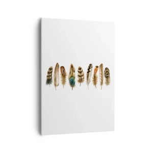 Impression sur toile - Image sur toile - Motif décoratif d'une collection de plumes diverses - 50x70cm - Variation à plumes - Décoration murale moderne pour le salon et la chambre ARTTOR