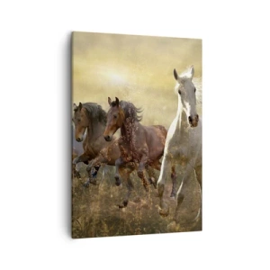 Impression sur toile - Image sur toile - Un groupe de chevaux au galop sur fond de soleil couchant - 50x70cm - Vive la liberté! - Décoration murale moderne pour le salon et la chambre ARTTOR