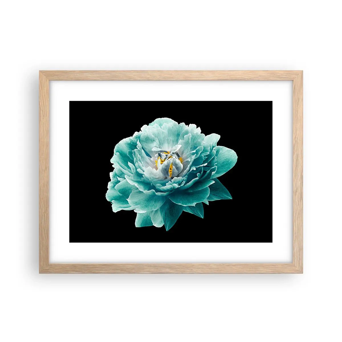 Affiche dans un chêne clair - Poster - Pétales bleus et dorés - 40x30 cm