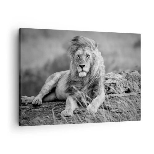 Impression sur toile - Image sur toile - Lion reposant sur un rocher dans un style monochrome - 70x50cm - Sieste royale - Décoration murale moderne pour le salon et la chambre ARTTOR