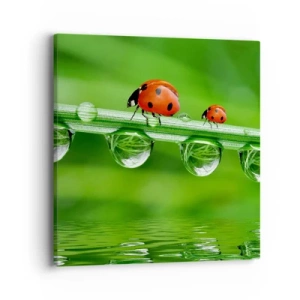 Impression sur toile - Image sur toile - Sur la route tout l'été - 40x40 cm