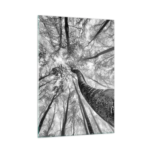 Impression sur verre - Image sur verre - Arbres en noir et blanc photographiés d'en bas vers le ciel - 50x70cm - Course vers la lumière - Décoration murale moderne pour le salon et la chambre ARTTOR
