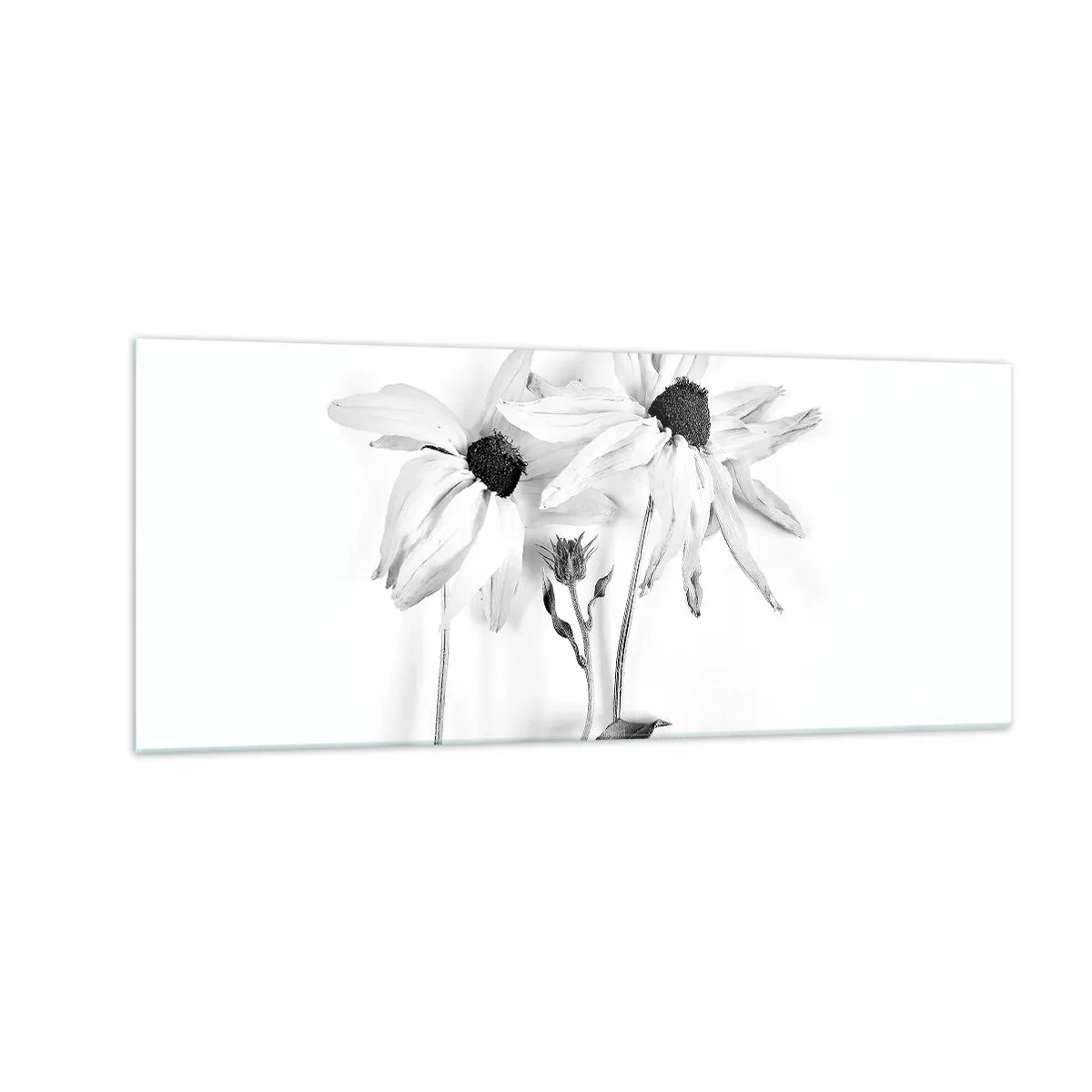 Impression sur verre - Image sur verre - Personne ne souhaite être seul - 100x40 cm