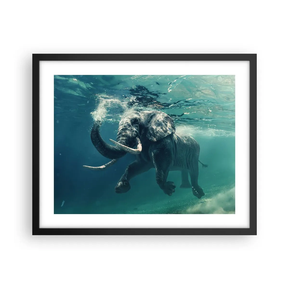 Affiche dans un cadre noir - Poster - Tout le monde aime nager - 50x40 cm