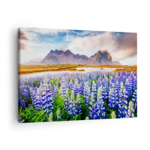 Impression sur toile - Image sur toile - Fleurs dans un paysage de montagne avec un ciel pittoresque - 70x50cm - La force et l'austérité côtoient la douceur - Décoration murale moderne pour le salon et la chambre ARTTOR